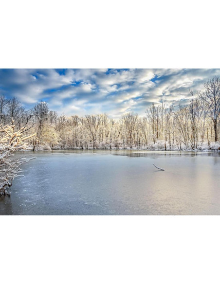 Rompecabezas 2000 Piezas Noah Caperton Swamp Congelado