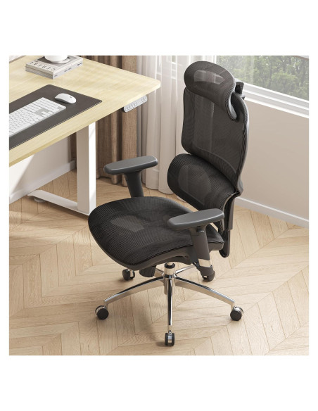 Silla de Oficina Ergonómica SIHOO M56B con Soporte Lumbar