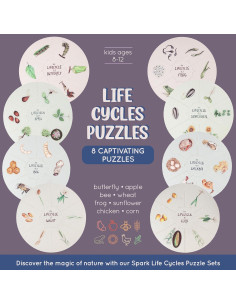 Conjunto de Rompecabezas del Ciclo de Vida Spark Innovations - 8 Piezas 2
