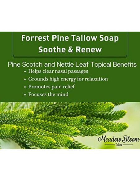 Jabón de Grasa Natural EST'D 2004 - Pino del Bosque 2 Paquete