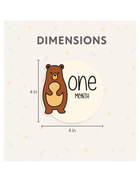 12 Tarjetas de Hitos Mensuales de Madera Bosque Colorido