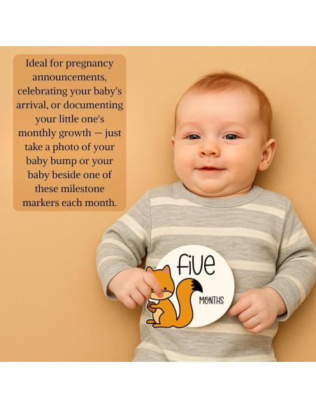 12 Tarjetas de Hitos Mensuales de Madera Bosque Colorido