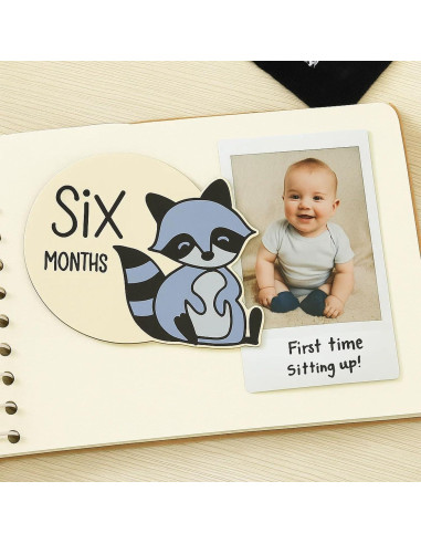 12 Tarjetas de Hitos Mensuales de Madera Bosque Colorido