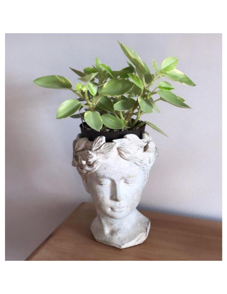 Macetero de Cemento Estilo Griego Romano Distinctive Designs 23cm Macetero de Cemento Estilo Griego Romano Distinctive Designs 23cm