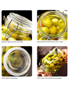 Dispensador de Bebidas de Vidrio PUSCRIENO 4L con Grifo y Asa 2