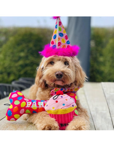 Sombrero de Fiesta para Mascotas Huxley & Kent Rosa Grande