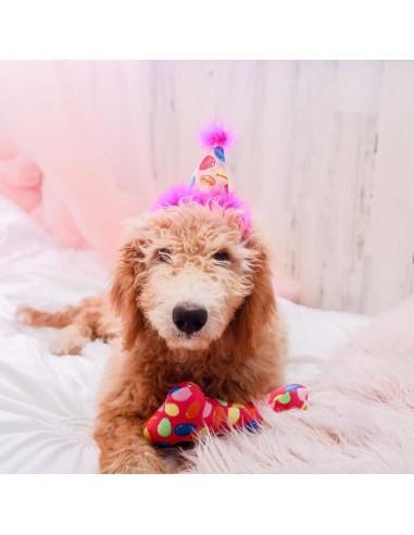 Sombrero de Fiesta para Mascotas Huxley & Kent Rosa Grande