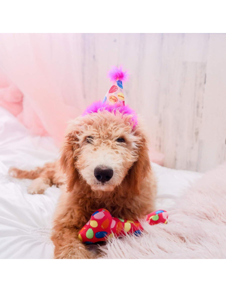 Sombrero de Fiesta para Mascotas Huxley & Kent Rosa Grande