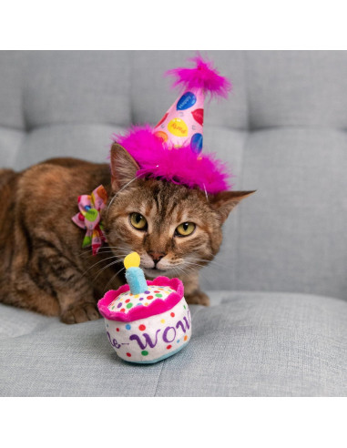 Sombrero de Fiesta para Mascotas Huxley & Kent Rosa Grande