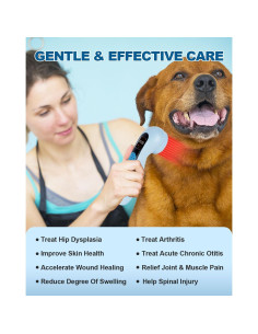 Dispositivo de Terapia Lásers Frío BETISBE 5*808nm 10*650nm 2