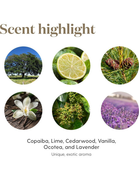 Aceite Esencial Roll-On Young Living Stress Away 10 ml Aceite Esencial Roll-On Young Living Stress Away 10 ml