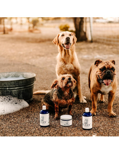 Champú Bully The Bully Company 500ml Orgánico para Bulldogs