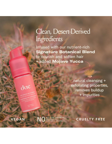 Champú Seco Fairy Duster 150g + Brocha Kabuki 3-en-1