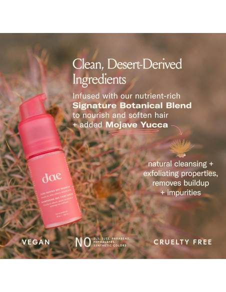 Champú Seco Fairy Duster 150g + Brocha Kabuki 3-en-1