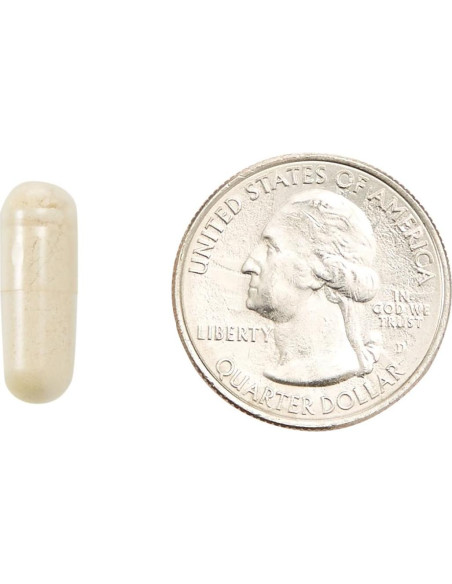 Vitamina D2 2000 UI Vegana Amazon Elements 65 Cápsulas Vitamina D2 2000 UI Vegana Amazon Elements 65 Cápsulas