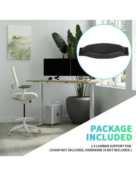 Almohadilla de Soporte Lumbar ECOTRIC para Silla Aeron Tamaño B