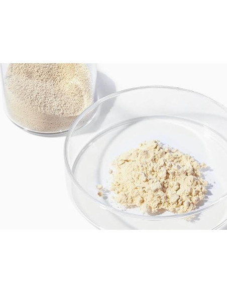 Vitamina D2 2000 UI Vegana Amazon Elements 65 Cápsulas Vitamina D2 2000 UI Vegana Amazon Elements 65 Cápsulas