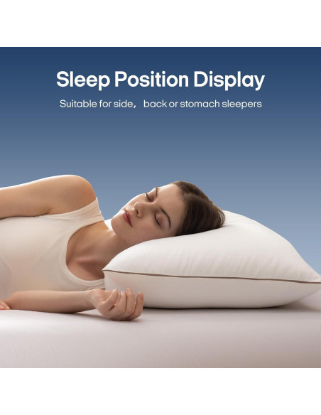 Almohadas de Plumas de Ganso puredown Estándar 50.8x66 cm Almohadas de Plumas de Ganso puredown Estándar 50.8x66 cm