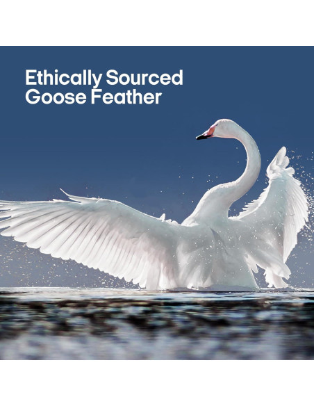 Almohadas de Plumas de Ganso puredown Estándar 50.8x66 cm Almohadas de Plumas de Ganso puredown Estándar 50.8x66 cm