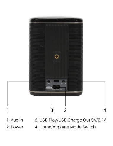 Altavoz RIVA Arena Hi-Fi Bluetooth 50W Multiroom Negro