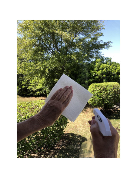 Vinilo Decorativo DCentral Rosa Grabado 20x30 cm Reutilizable Vinilo Decorativo DCentral Rosa Grabado 20x30 cm Reutilizable