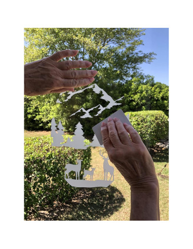 Vinilo Decorativo DCentral Rosa Grabado 20x30 cm Reutilizable