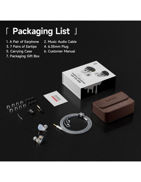 Auriculares In-Ear BASN BmasterX 6 HiFi con Aislamiento de Ruido