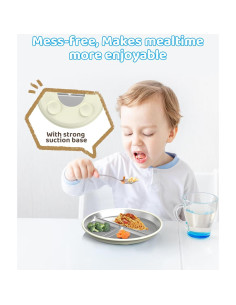 Platos Divididos de Acero Inoxidable ERUSEHE 22.86 cm - 2 Unidades 2