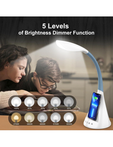 Lámpara de Escritorio LED DomIQ SWAN1 con Cargador Inalámbrico