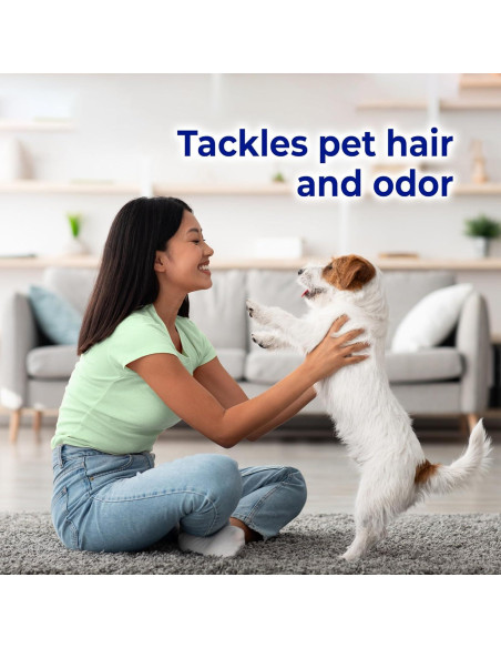 Hojas de Secadora Snuggle Plus SuperFresh Original 105 Unidades