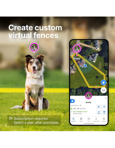 Collar GPS Halo 4 para perros - Entrenamiento y seguridad