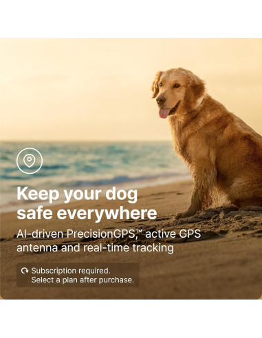 Collar GPS Halo 4 para perros - Entrenamiento y seguridad