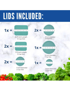 Tapa de Reemplazo Pyrex 9 Piezas Turquesa - A prueba de Fugas 2