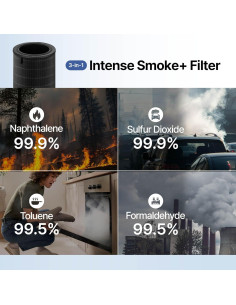 Filtro de Reemplazo Coway Airmega 350 Humo Intenso Plus 2