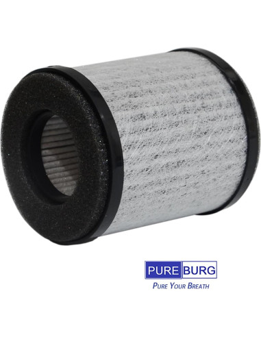 Filtro HEPA PUREBURG AP-P60FL para Purificador Homedics