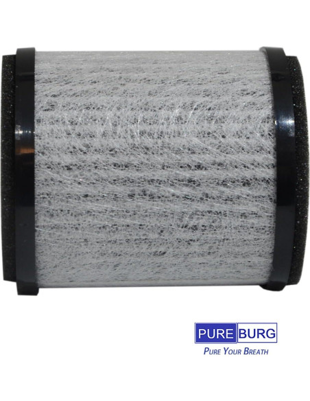 Filtro HEPA PUREBURG AP-P60FL para Purificador Homedics