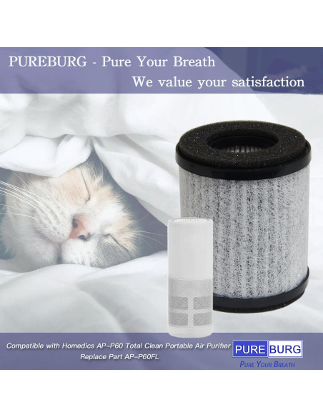 Filtro HEPA PUREBURG AP-P60FL para Purificador Homedics