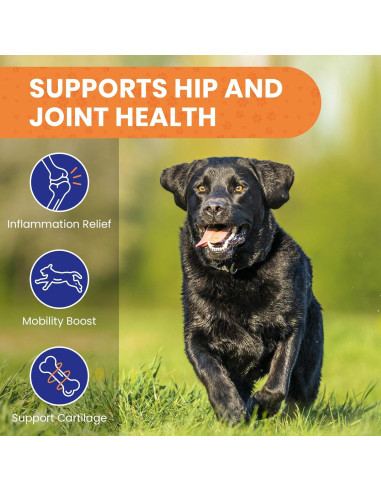 Golosinas Calmantes HOOLOO para Perros - 120 Unidades Sabor Pollo