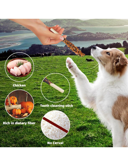 Golosinas Dentales para Perros HEYISME Pollo y Calabaza 400g Golosinas Dentales para Perros HEYISME Pollo y Calabaza 400g