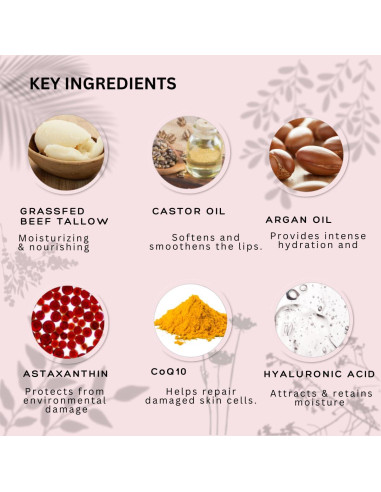 Bálsamo Labial Natural NP Health - Hidratante Orgánico Rosa