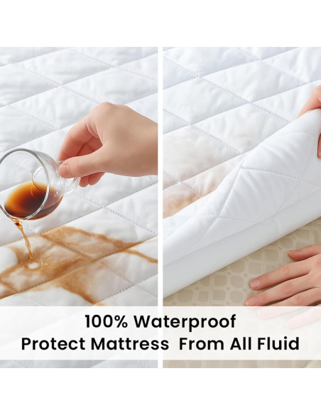 Protector de Cama Lavable Queen Cotton Passion - Impermeable