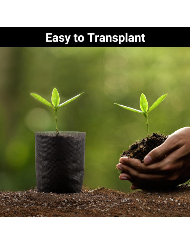 Bolsas de Cultivo Negras ENPOINT 200 Unidades 14.99x13.97 cm