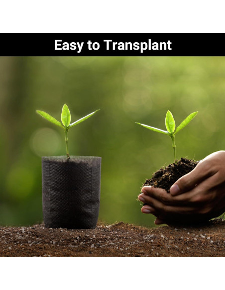 Bolsas de Cultivo Negras ENPOINT 200 Unidades 14.99x13.97 cm