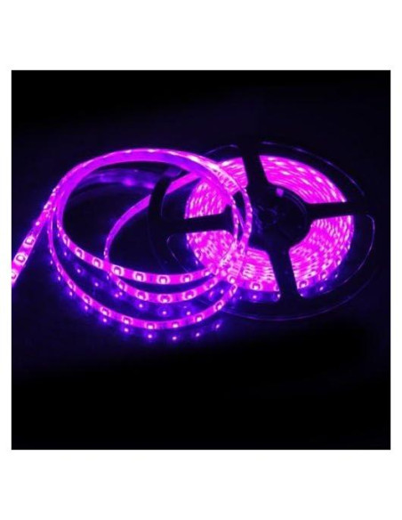 Tira de Luz LED Rosa 5M SUSAY 300 LEDs Impermeable 12V Tira de Luz LED Rosa 5M SUSAY 300 LEDs Impermeable 12V