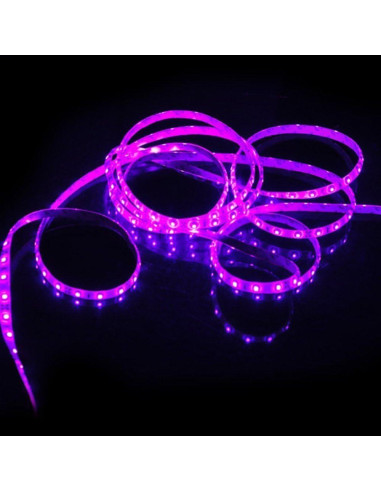 Tira de Luz LED Rosa 5M SUSAY 300 LEDs Impermeable 12V