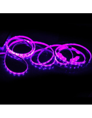 Tira de Luz LED Rosa 5M SUSAY 300 LEDs Impermeable 12V