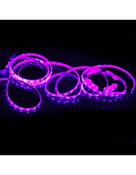 Tira de Luz LED Rosa 5M SUSAY 300 LEDs Impermeable 12V Tira de Luz LED Rosa 5M SUSAY 300 LEDs Impermeable 12V