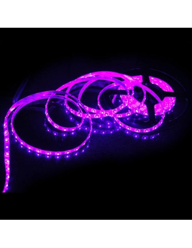 Tira de Luz LED Rosa 5M SUSAY 300 LEDs Impermeable 12V