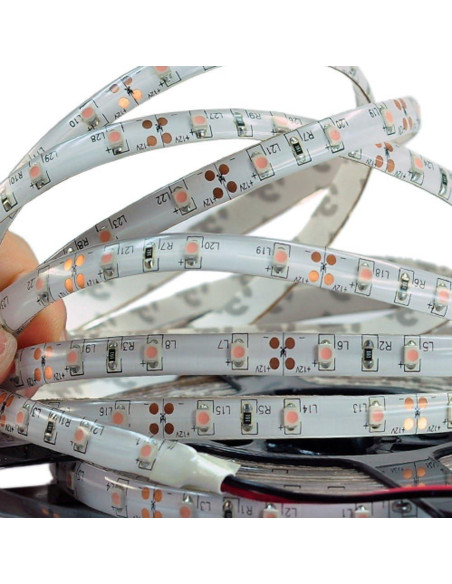 Tira de Luz LED Rosa 5M SUSAY 300 LEDs Impermeable 12V Tira de Luz LED Rosa 5M SUSAY 300 LEDs Impermeable 12V