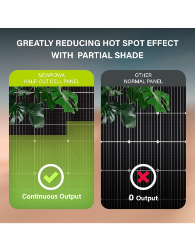 Panel Solar Bifacial 200W Newpowa 12V Alta Eficiencia